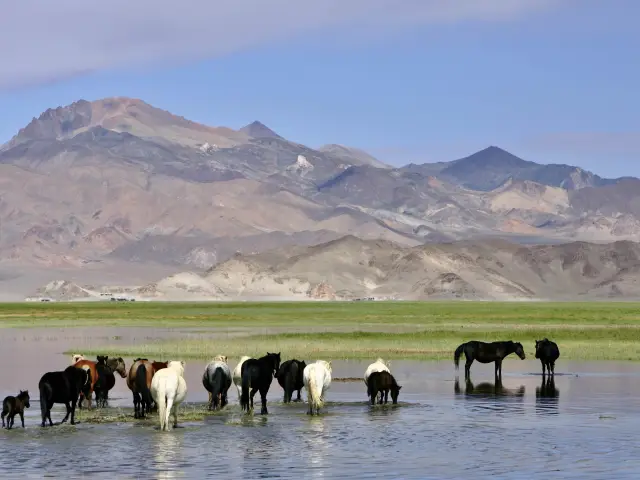 西藏阿里班公湖