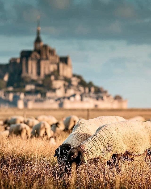 Mont Saint-Michel, the sacred mountain of France.