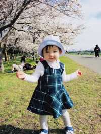 Cherry blossom season is coming again, I really want to go and see the Tamagawa River of the past.