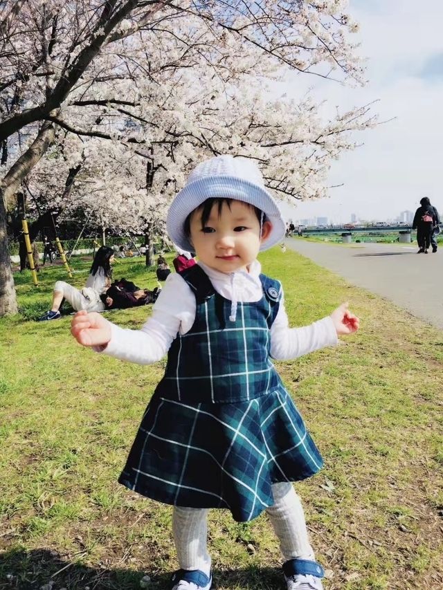 Cherry blossom season is coming again, I really want to go and see the Tamagawa River of the past.