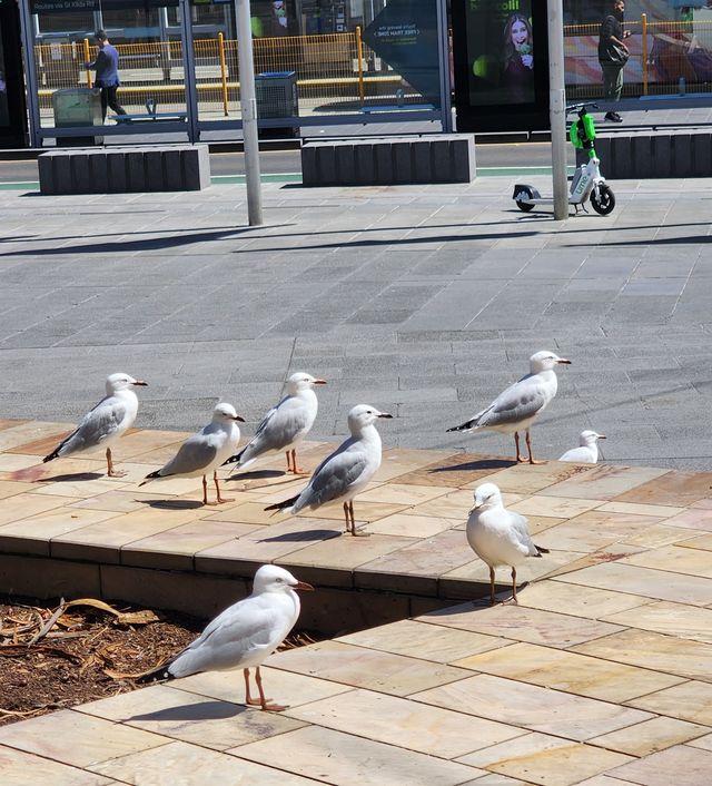 Melbourne Federation Square