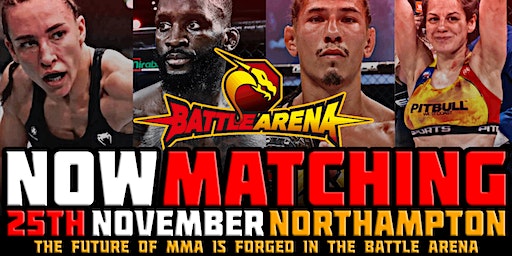 NORTHAMPTON - BATTLE ARENA | NORTHAMPTONSHIRE COUNTY CRICKET GROUND