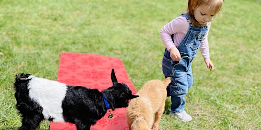 BABY GOAT YOGA: Toddler & Me (ages 2-4) *up to two parents/caregivers | Indian Ladder Farms
