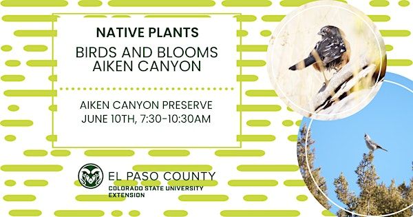 Native Plants: Birds and Blooms Aiken Canyon | Aiken Canyon Preserve