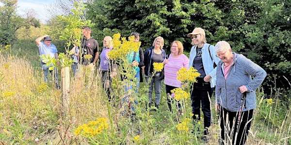 Nature, Natter and Nibbles - Sutton Courtenay, Friday 13 June | Sutton Courtenay Environmental Education Centre