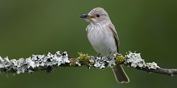 Terry's Friday Birdwatching Walks | Anglian Water Birdwatching Centre