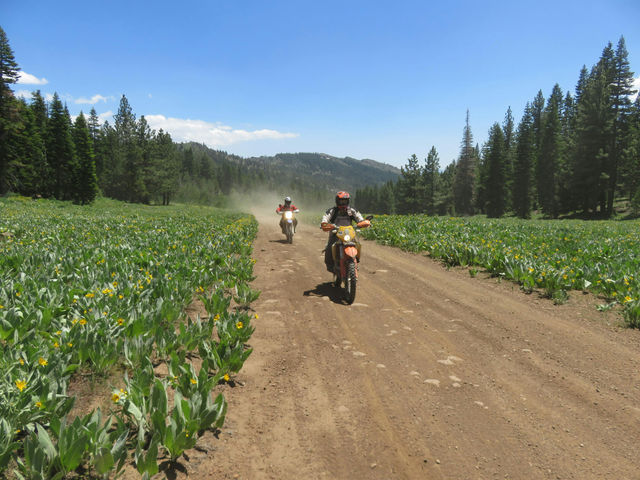 2025 Ride Reno 200 | Mt. Rose - Ski Tahoe