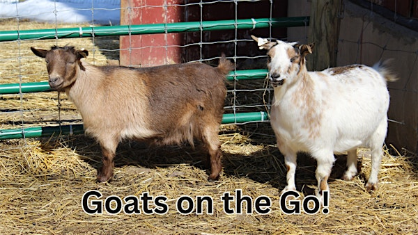 Goats on the Go! | Muscoot Farm