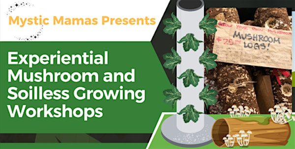 Hydroponics 101 with Custom Lasercut Planter | Beltzhoover Community Center 407