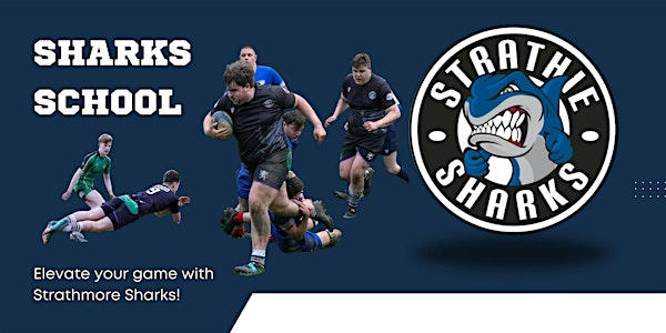 Shark School | Strathmore Rugby Football Club