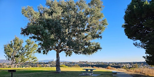 Tree Treks at Kate Sessions Park | Kate Sessions Memorial Park