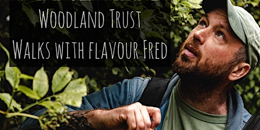 Wild Plants & Mushroom Identification , History, Folklore & Wild Flavours | Brede High Woods, near Rye, East Sussex