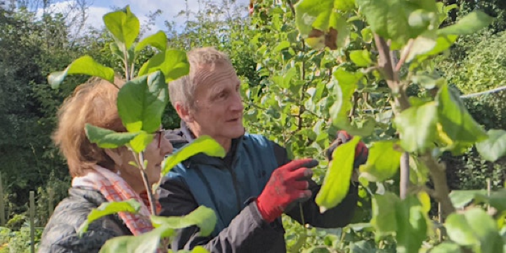 Fruit tree pruning | St Ann's Allotments