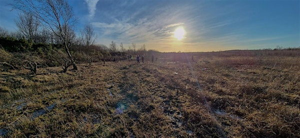 Pond Scraping: Consoc Collab | Newstead and Annesley Country Park