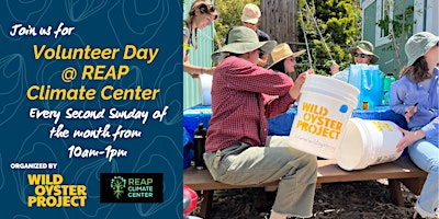 Wild Oyster Project's Monthly Volunteer Work Day | 2133 Tynan Ave