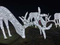 CAMARINES SUR LIGHTS UP at CHRISTMAS 