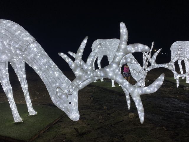 CAMARINES SUR LIGHTS UP at CHRISTMAS 