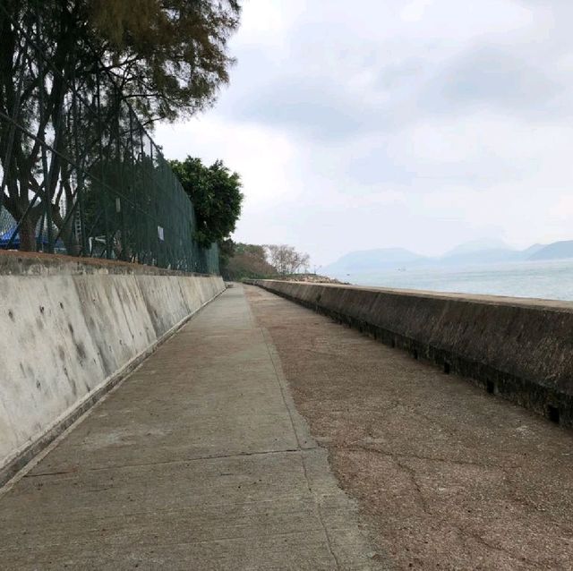 西環泳棚