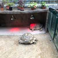 香港動植物公園150周年