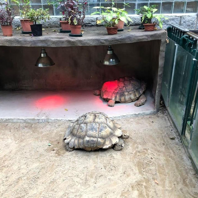 香港動植物公園150周年