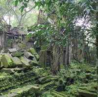 Beng Mealea Temple