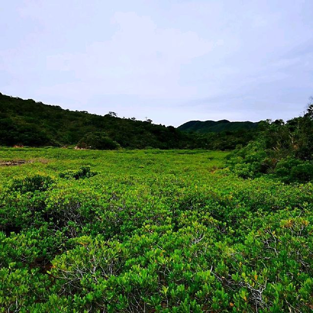 故事小島—鹽田梓