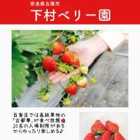 関西のいちご狩りスポットまとめ6選
