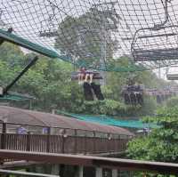 Sentosa Luge & Helix !