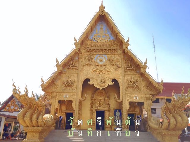 บันทึกเที่ยว @ วัดศรีพันต้น น่าน