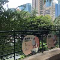 難得九龍市區有個鳥湖
