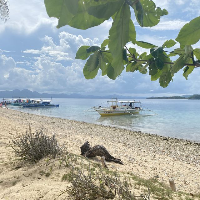 coron 3d3n tour worth it 