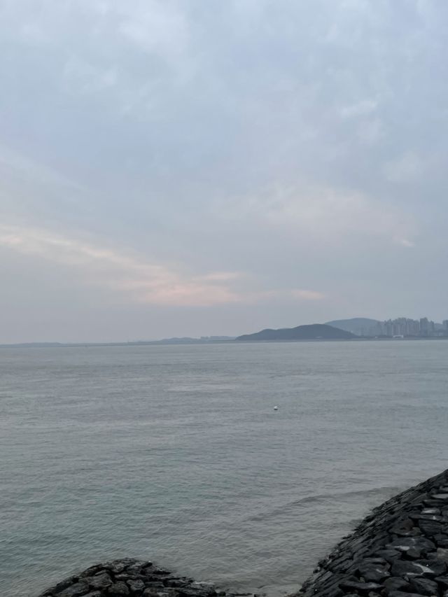 인천 차이나타운 + 월미도 