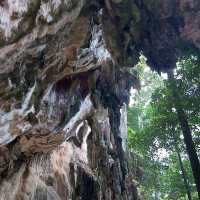 푸른 바다색이 너무나 이쁜 곳 피피섬 😀