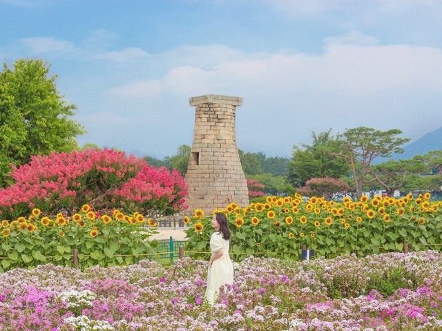 해바라기를 품은 첨성대에서 인생샷🌻💛