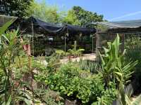 Rooftop garden at Siloso