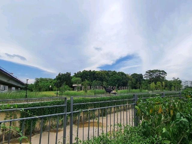 Tampines Naturalised river