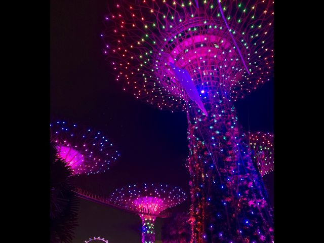 Colorful, Giant “Trees” at Gardens By The Bay