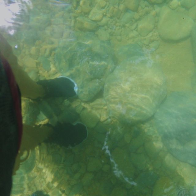 Try Canyoneering at Kawasan Falls