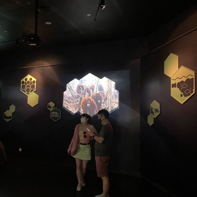 cloud museum 