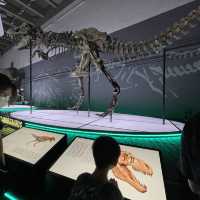 😆免費入場任玩！去科學館睇恐龍🦖
