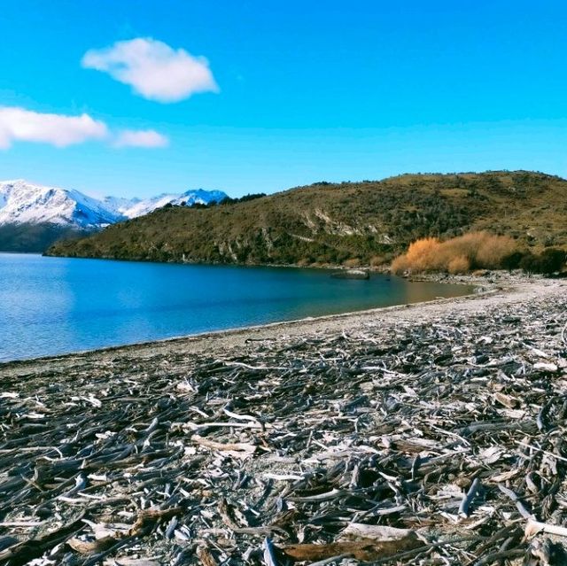 Wanaka - Serenity like no other.