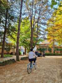 남이섬 자전거 단풍여행🍁🍂