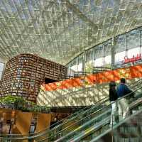 Cool Relaxing Starfield Library 