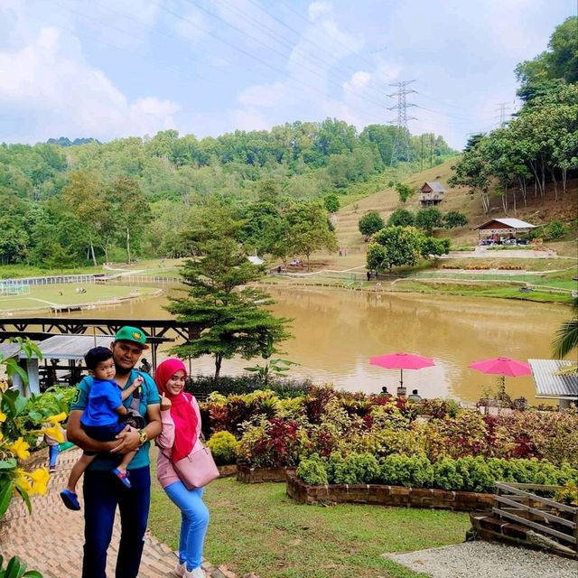 BUKIT JELUTONG