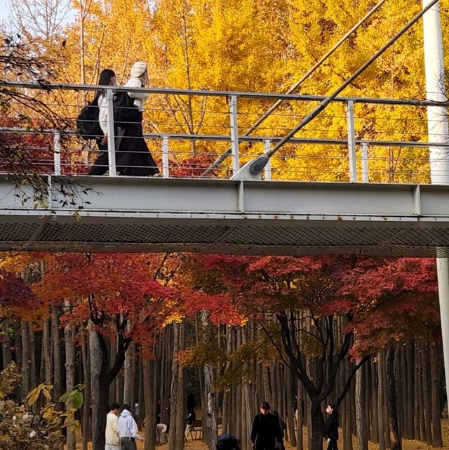 Awesome park in the Heart of Seoul. 