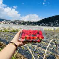 Baguio, on the Philippines’ Luzon island, is a mountain town of universities and resorts. Called the