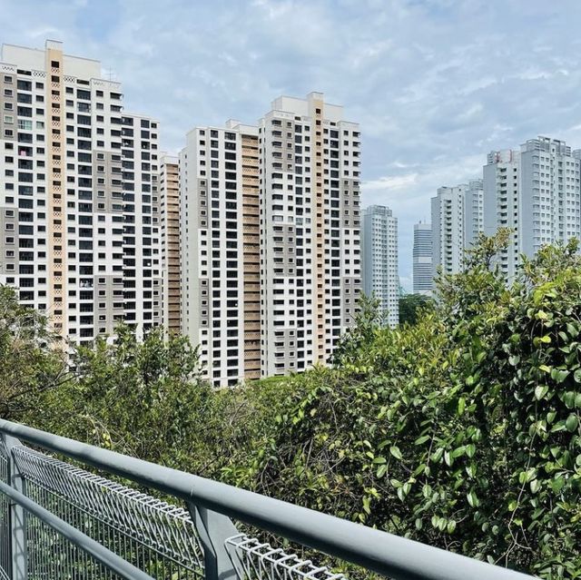 A nice place to visit in 🇸🇬