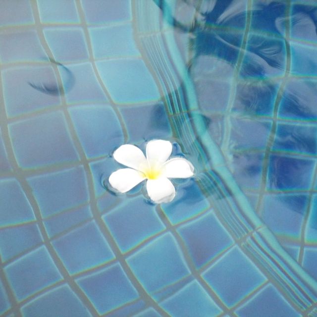 🏝푸켓 허니문 리조트 더라차-수영장