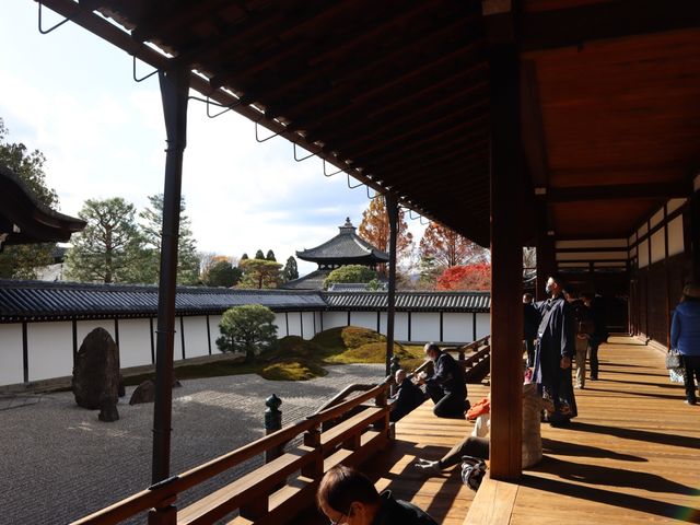 東福寺 · 紅葉
