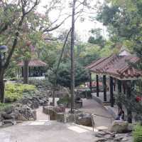 沙田中央公園